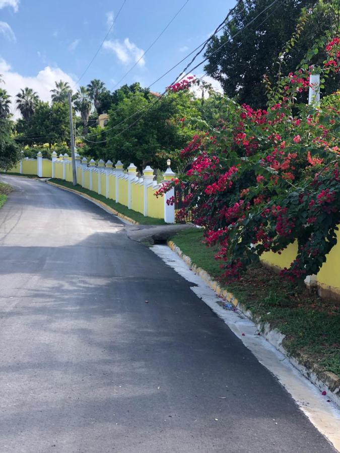 Отель Pura Vida Jamaica Фальмаут Экстерьер фото