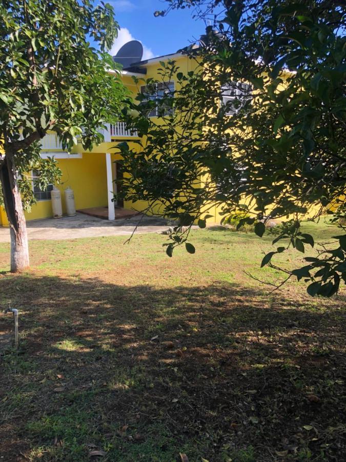 Отель Pura Vida Jamaica Фальмаут Экстерьер фото